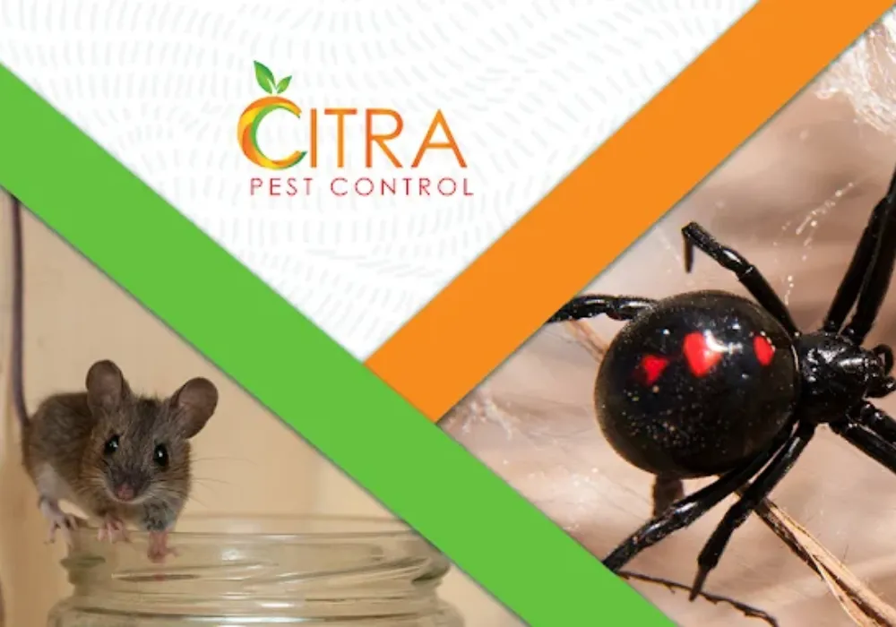 about-citra-pest-control
