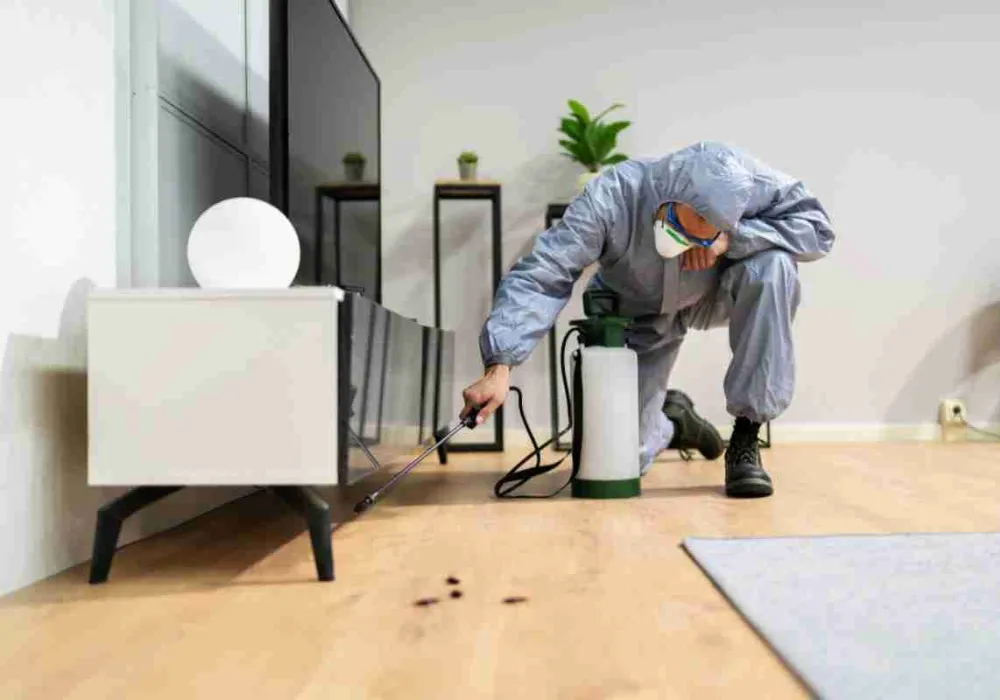 Residential Pest Control Services
